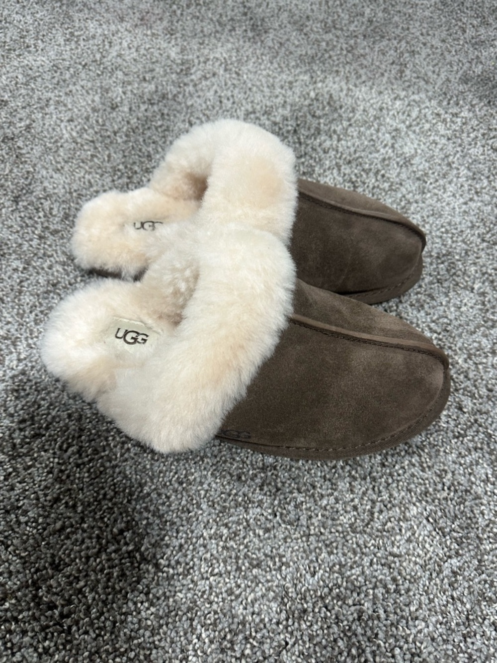 UGG Scuffette II Slippers in Espresso Brown